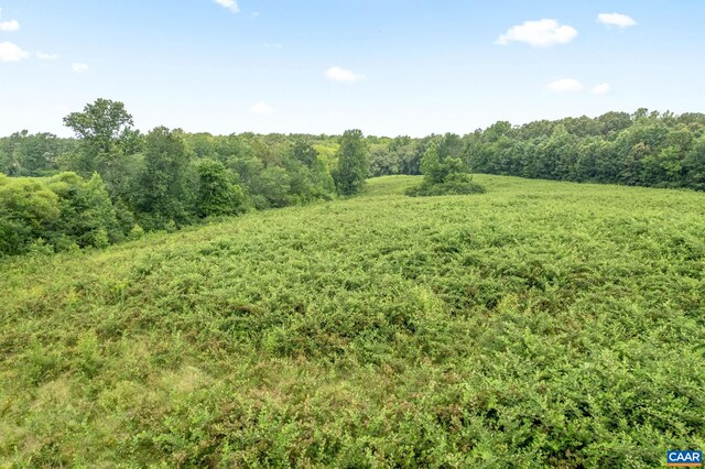 5039 James Madison Hwy, Fork Union, VA 23055 - photo 72