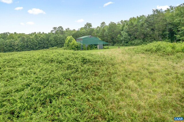 5039 James Madison Hwy, Fork Union, VA 23055 - photo 73