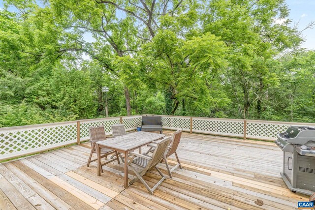5039 James Madison Hwy, Fork Union, VA 23055 - photo 35