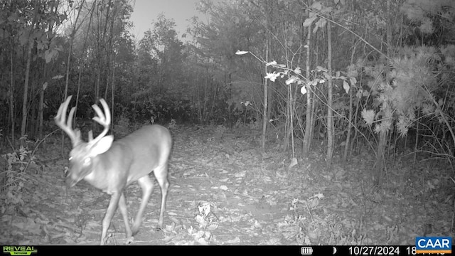 TBD Andersonville Rd, Dillwyn, VA 23936