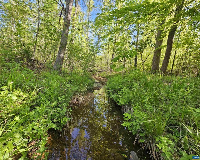 TBD Andersonville Rd, Dillwyn, VA 23936