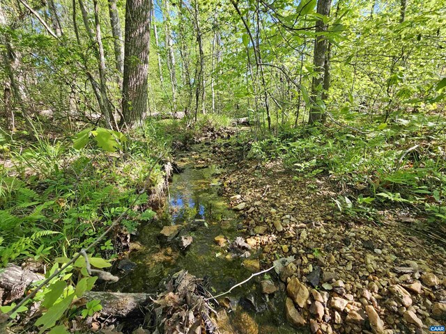 TBD Andersonville Rd, Dillwyn, VA 23936