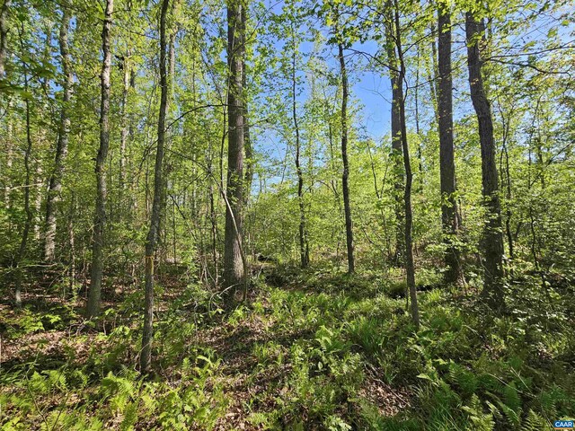 TBD Andersonville Rd, Dillwyn, VA 23936