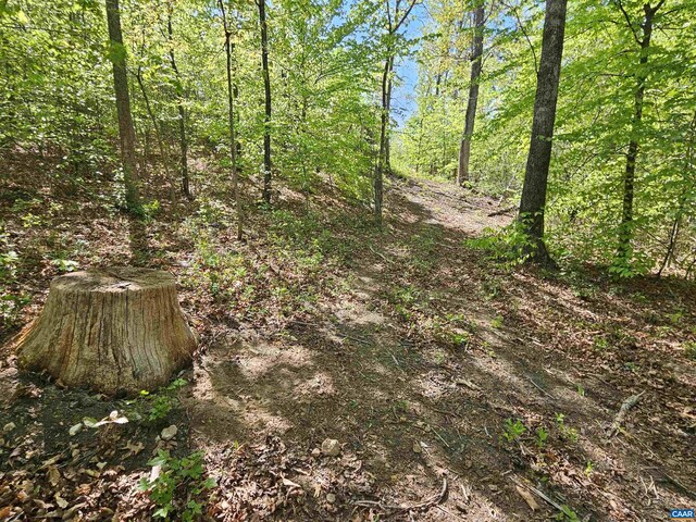 TBD Andersonville Rd, Dillwyn, VA 23936