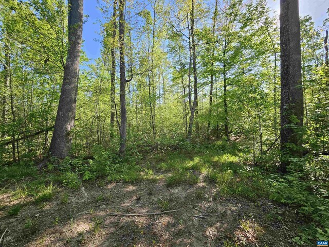TBD Andersonville Rd, Dillwyn, VA 23936