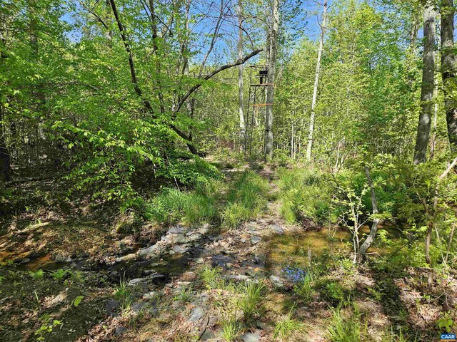 TBD Andersonville Rd, Dillwyn, VA 23936