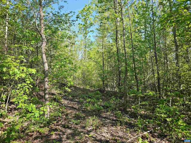 TBD Andersonville Rd, Dillwyn, VA 23936