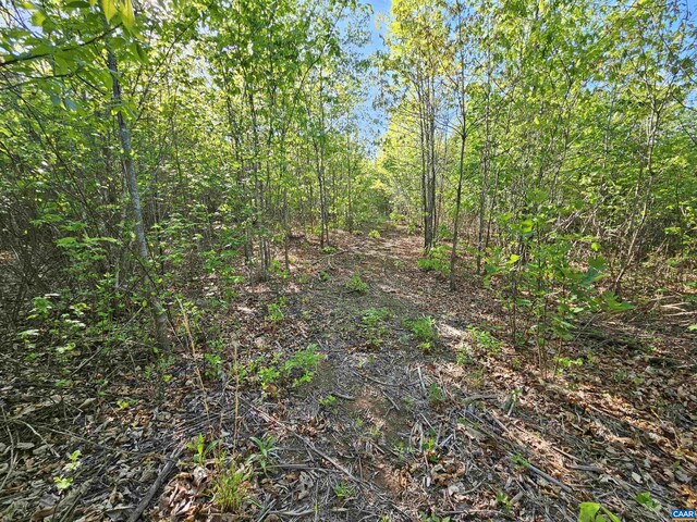 TBD Andersonville Rd, Dillwyn, VA 23936