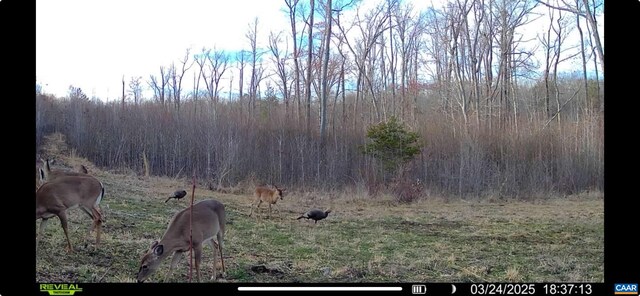 TBD Andersonville Rd, Dillwyn, VA 23936