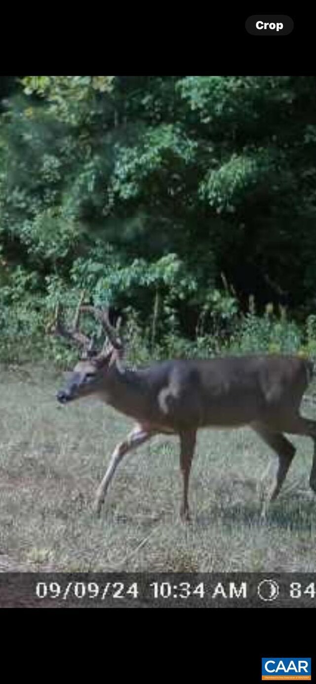 TBD Andersonville Rd, Dillwyn, VA 23936