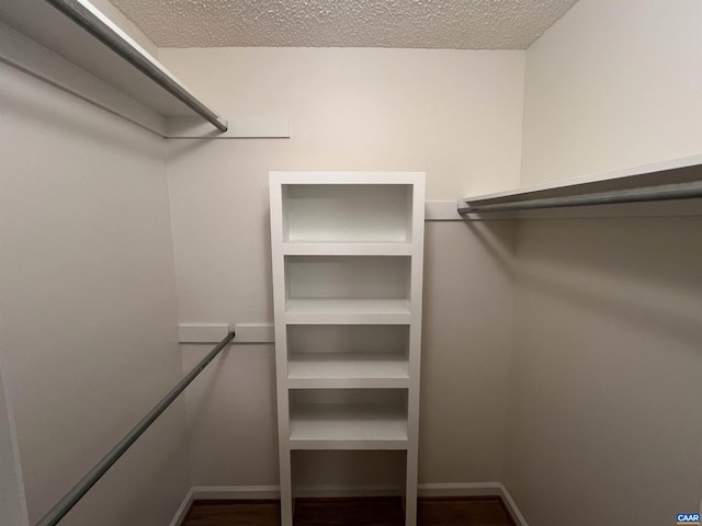 7 Englewood Dr, Palmyra, VA 22963 - view of spacious closet