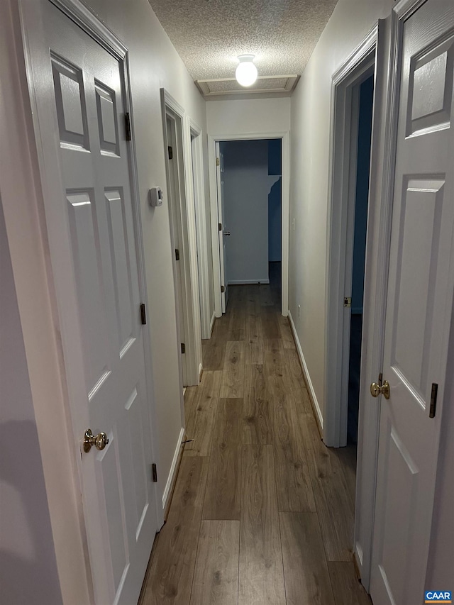 7 Englewood Dr, Palmyra, VA 22963 - hallway with wood finished floors and a textured ceiling