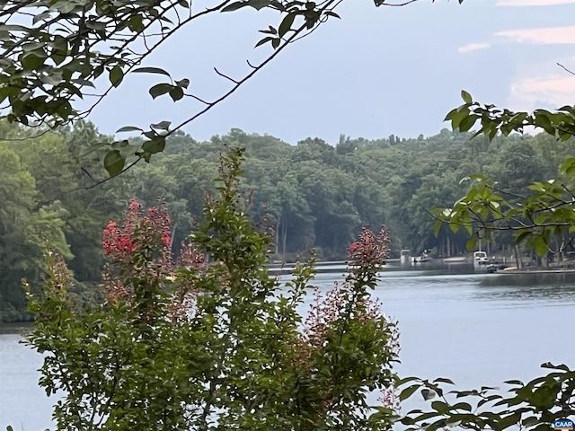 7 Englewood Dr, Palmyra, VA 22963 - water view featuring a forest