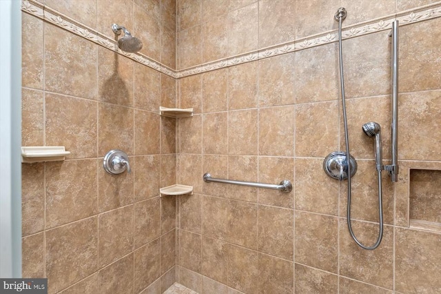 10042 Cedar Spring Ln, Culpeper, VA 22701 - full bathroom featuring tiled shower