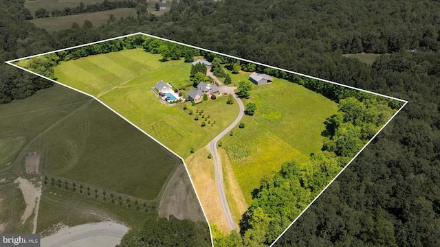 10042 Cedar Spring Ln, Culpeper, VA 22701 - view of property location with property boundaries highlighted and a heavily wooded area