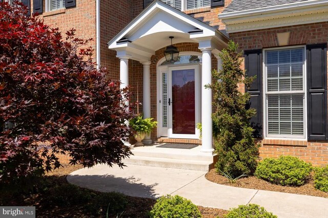 10042 Cedar Spring Ln, Culpeper, VA 22701 - doorway to property featuring brick siding and a shingled roof