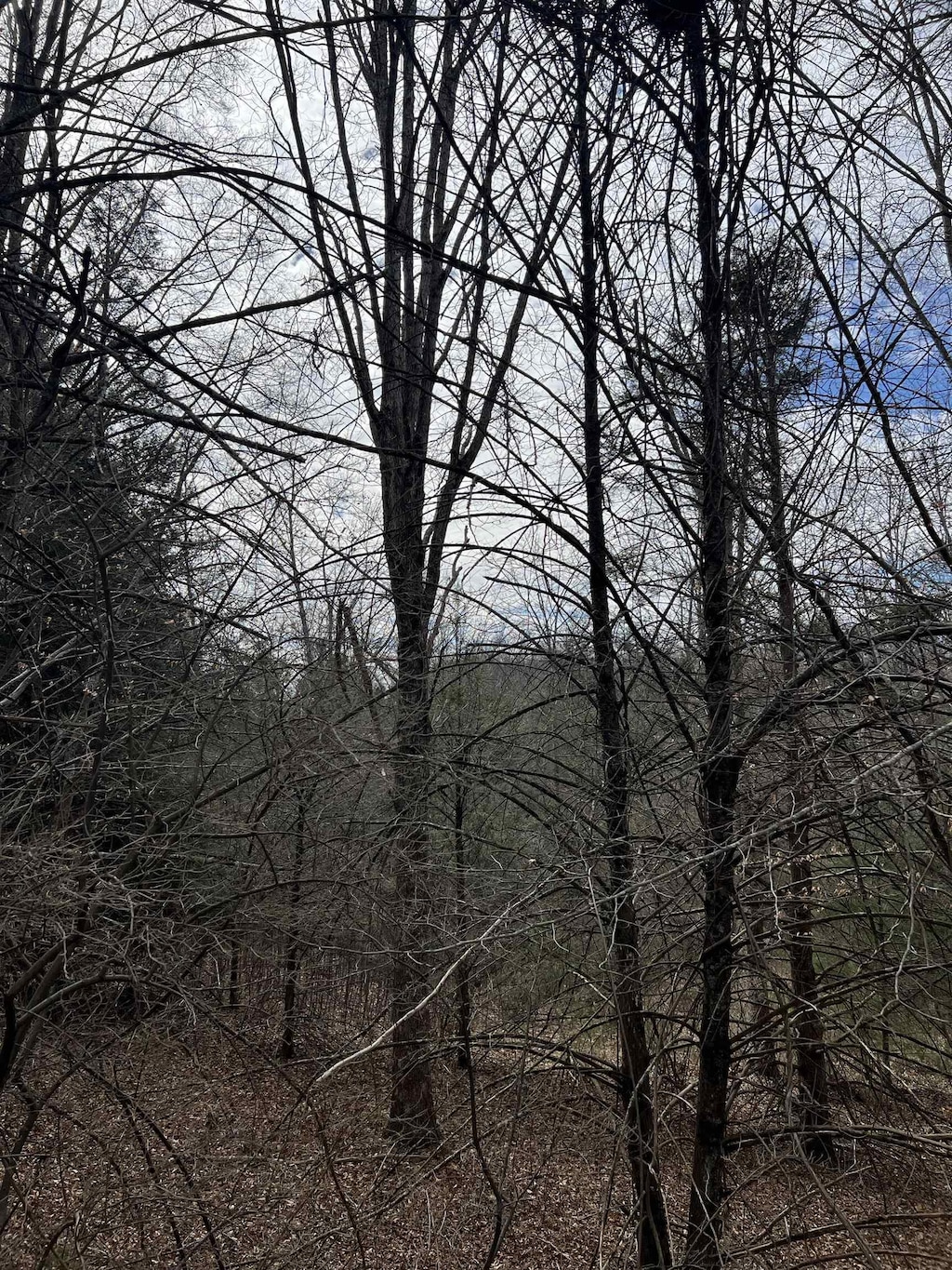 TBD Cold Springs Rd, Raphine, VA 24472