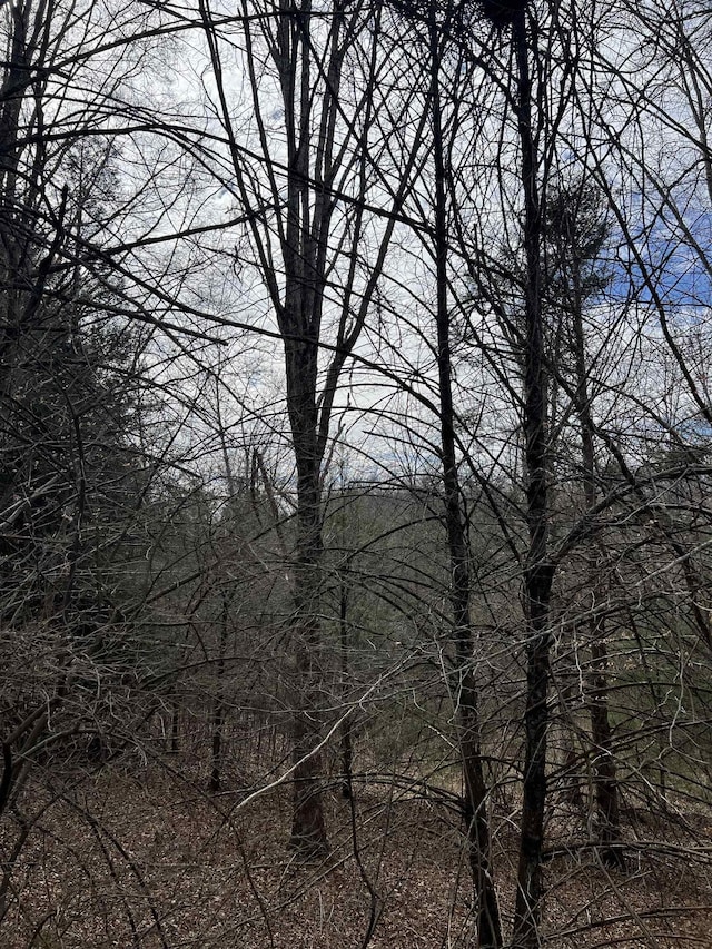 TBD Cold Springs Rd, Raphine, VA 24472