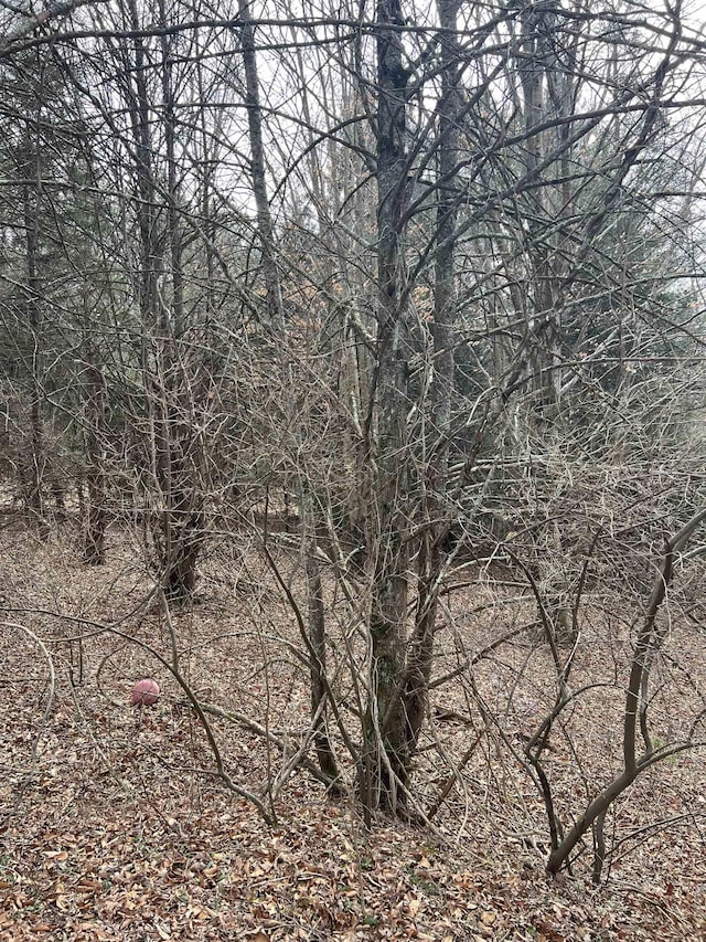 TBD Cold Springs Rd, Raphine, VA 24472