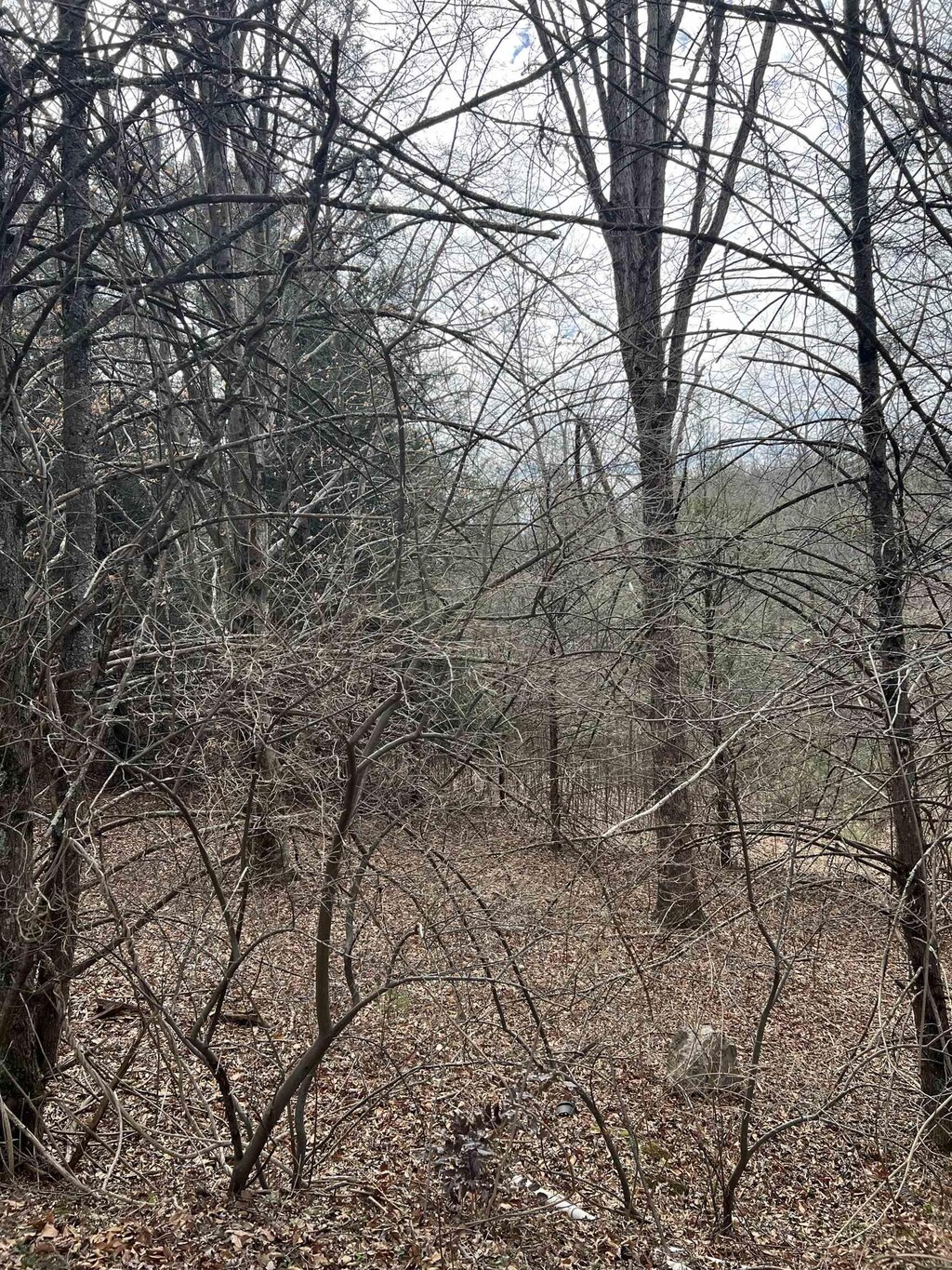 TBD Cold Springs Rd, Raphine, VA 24472