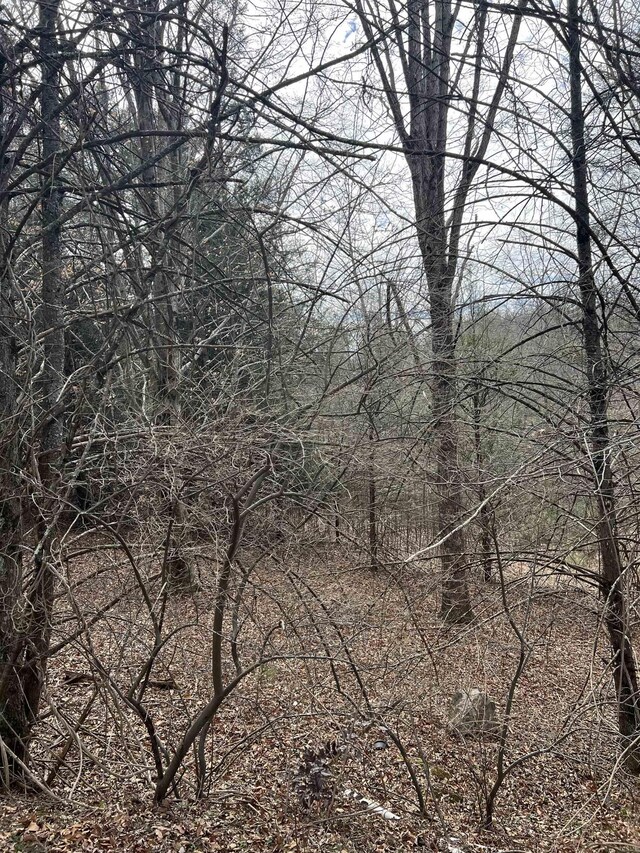 TBD Cold Springs Rd, Raphine, VA 24472