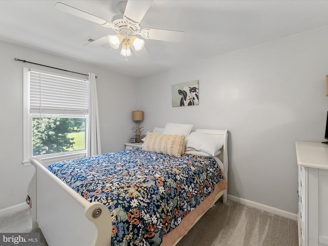 48 Maddox Ln, Amissville, VA 20106 - photo 55