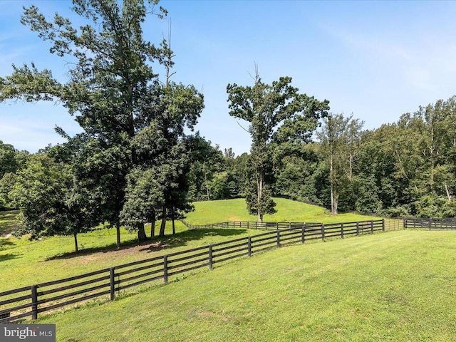 48 Maddox Ln, Amissville, VA 20106 - photo 67