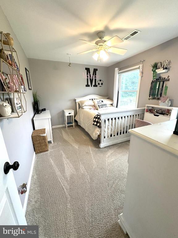 48 Maddox Ln, Amissville, VA 20106 - photo 53