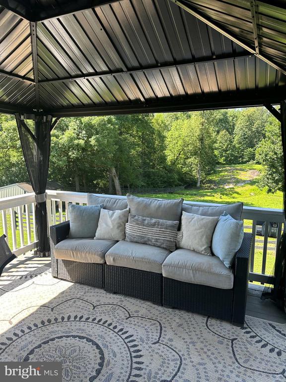 48 Maddox Ln, Amissville, VA 20106 - photo 64
