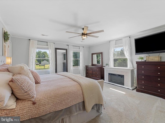 48 Maddox Ln, Amissville, VA 20106 - photo 44