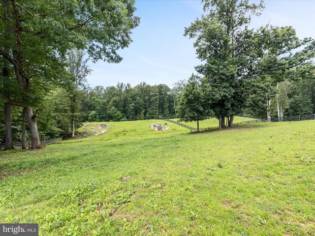 48 Maddox Ln, Amissville, VA 20106 - photo 20