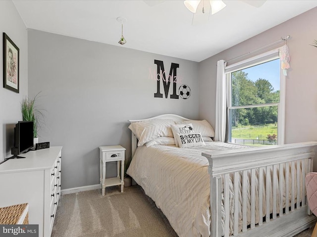 48 Maddox Ln, Amissville, VA 20106 - photo 52