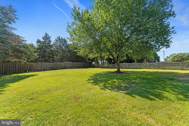 11505 Brian Dr, Fredericksburg, VA 22407 - view of fenced backyard