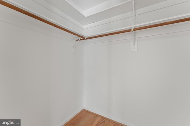 11505 Brian Dr, Fredericksburg, VA 22407 - walk in closet with light wood-style flooring