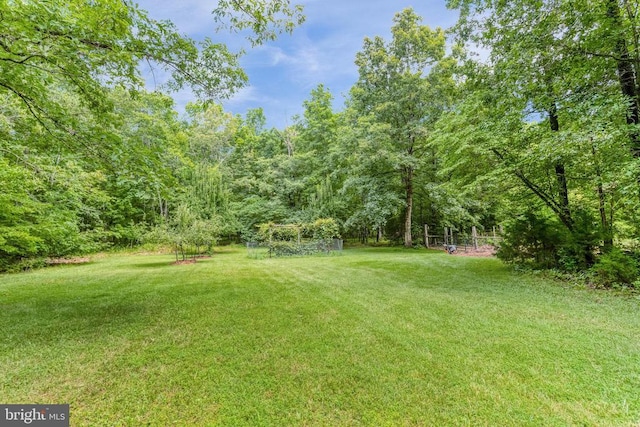 16010 Newbys Shop Rd, Elkwood, VA 22718 - photo 21
