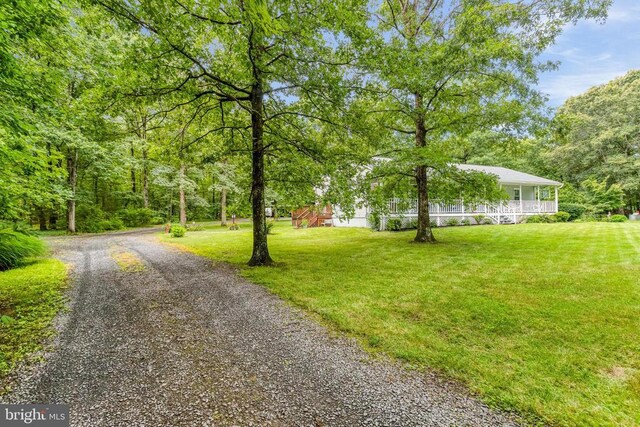 16010 Newbys Shop Rd, Elkwood, VA 22718 - photo 65