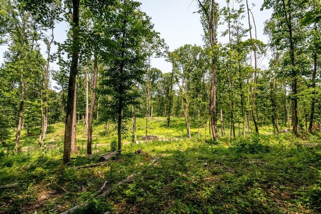 0 Piney Woods Rd, Timberville, VA 22853 - photo 4