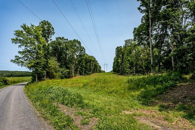 0 Piney Woods Rd, Timberville, VA 22853 - photo 2