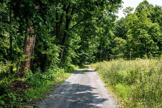 0 Piney Woods Rd, Timberville, VA 22853 - photo 6