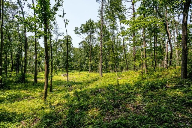 0 Piney Woods Rd, Timberville, VA 22853 - photo 7
