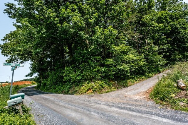 0 Piney Woods Rd, Timberville, VA 22853 - photo 3