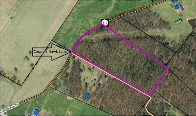 0 Piney Woods Rd, Timberville, VA 22853 - photo 8