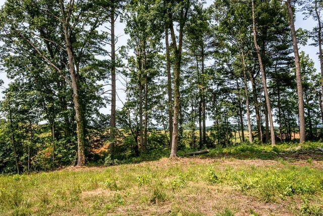 0 Piney Woods Rd, Timberville, VA 22853 - photo 1