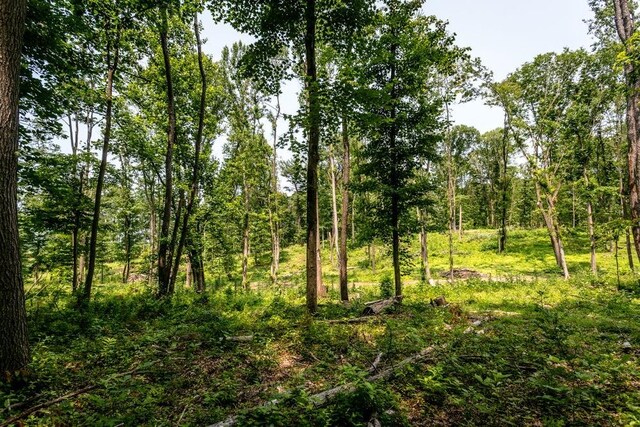 0 Piney Woods Rd, Timberville, VA 22853 - photo 5