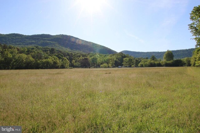Naked Creek Rd, Elkton, VA 22827 - photo 3