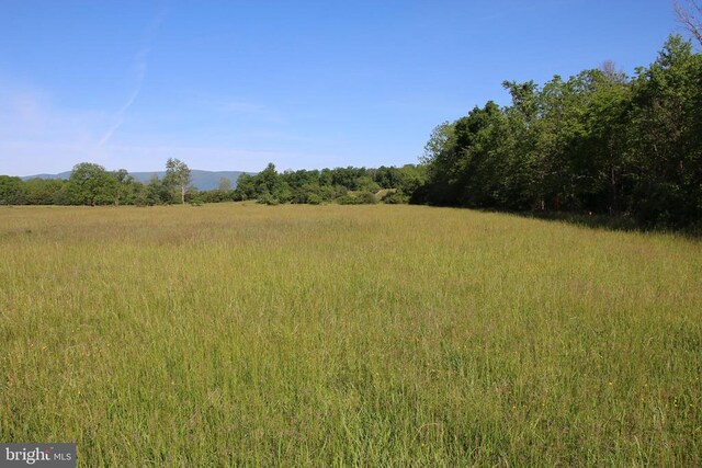 Naked Creek Rd, Elkton, VA 22827 - photo 6
