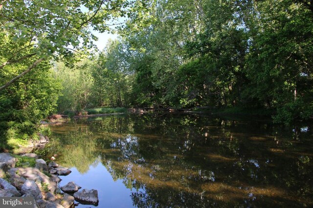 Naked Creek Rd, Elkton, VA 22827 - photo 10
