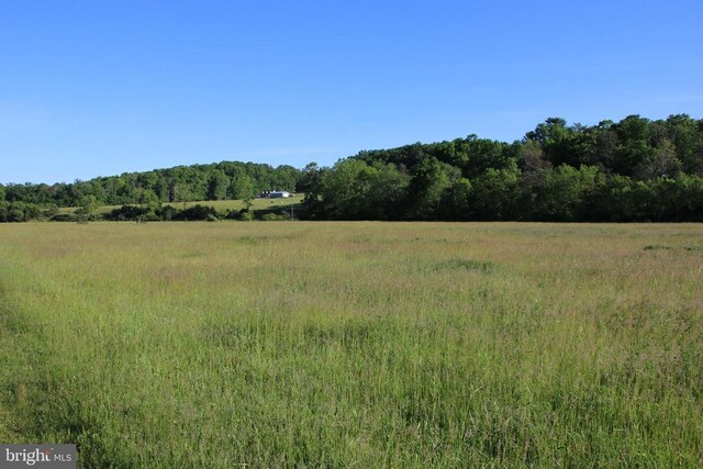 Naked Creek Rd, Elkton, VA 22827 - photo 12