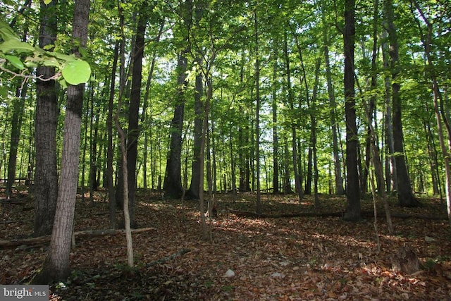 Naked Creek Rd, Elkton, VA 22827 - photo 16