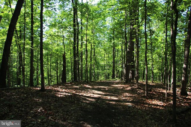 Naked Creek Rd, Elkton, VA 22827 - photo 11